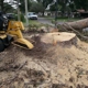 Professional Stump Grinding