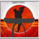 Phoenix Taekwondo - Martial Arts Instruction
