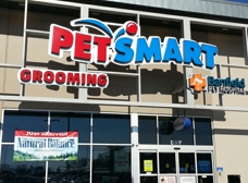 Petsmart midtown clearance