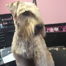 adorable animal designs salon and boutique - Pet Services