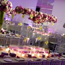 Belle Grey Events - Party & Event Planners