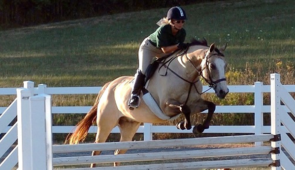 Westfield Equestrian Farm LLC - Dillsburg, PA