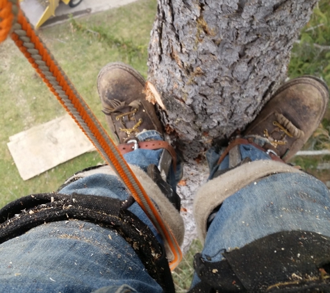 L&S Tree Service - Buffalo, NY