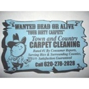Town and Country Carpet Cleaning - Upholstery Cleaners