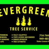 Evergreen Tree service gallery