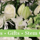 Stem Gallery - Gift Shops