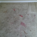 All American Carpet Care & Restoration - Water Damage Restoration