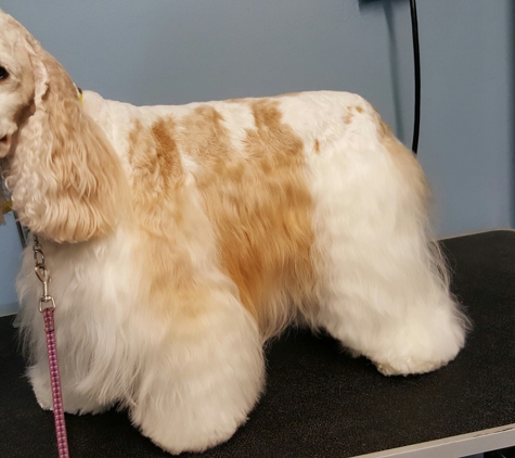 Shores Grooming - Saint Clair Shores, MI