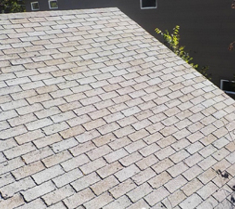 Alpine Roofing Co. Inc. - Denver, CO