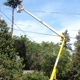 J & S Tree Service