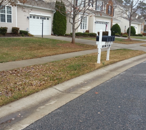 Nature's Way Landscaping - Powhatan, VA. this is 5 minutes after they left and tree only has handful of leaves.