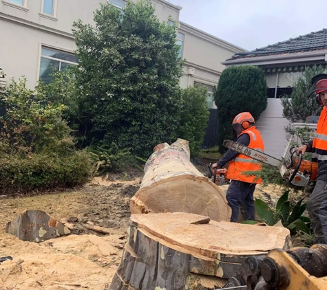 Harringtons Tree Services - Mount Evelyn, VIC