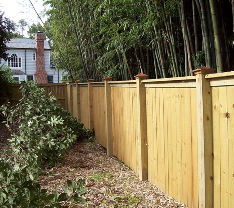 Fence Scapes