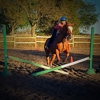 Christine Horseback Riding LLC gallery