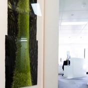 Gallery Image Number 4