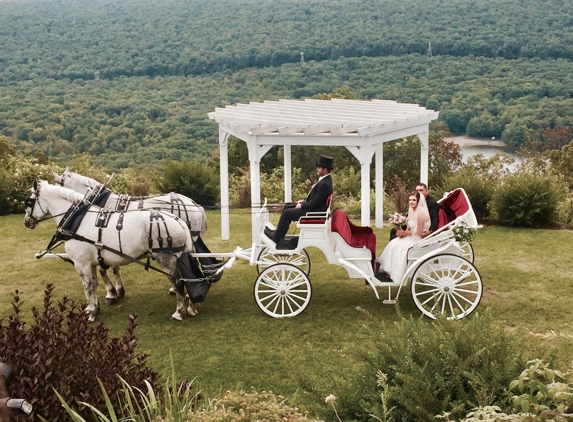 Crystal View Carriage Service - New Ringgold, PA