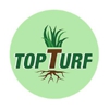 Top Turf gallery