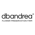 dbandrea Flower Preservation Firm