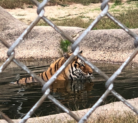 Popcorn Park Zoo - Forked River, NJ