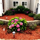 Yardshark LLC - Landscape Contractors