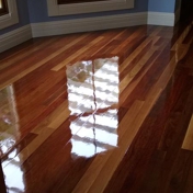 Gallery Image Number 1