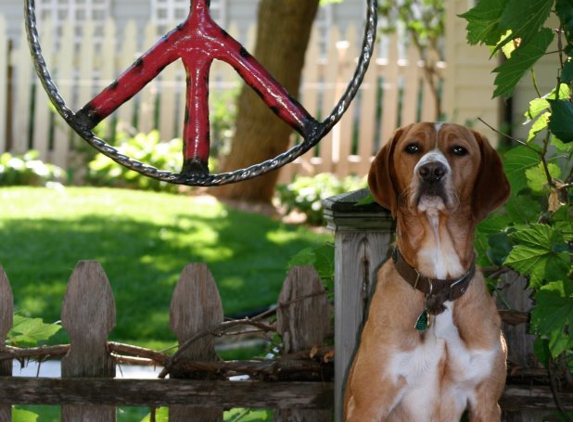 Hippie Dog - Richfield, MN