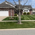 10X Better Lawn & Landscape Inc