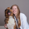 CityVet | Queen Creek gallery
