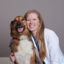 CityVet | Queen Creek - Pet Services
