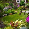 Tiger Stripes Lawn Maintenance gallery