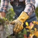 Woody Tree Service, Inc - Tree Service