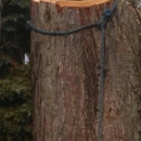 Brown's Tree Service - Firewood