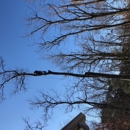 Mel's Tree Service - Tree Service