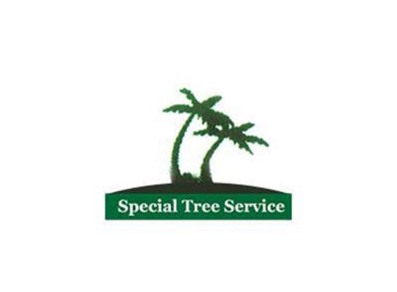 Special Tree Service - North Hollywood, CA