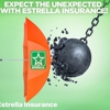 Estrella Insurance #293 gallery