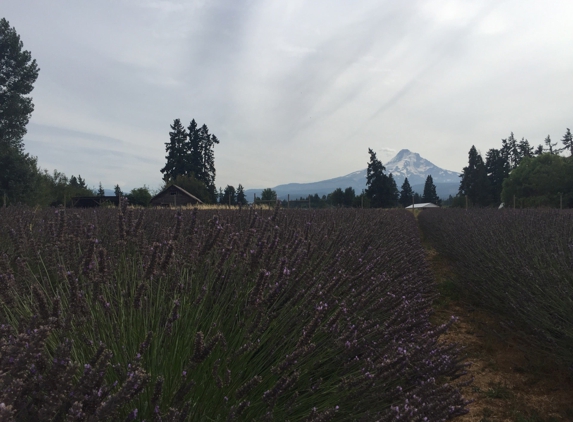 Lavender Valley Farms - Mount Hood Parkdale, OR