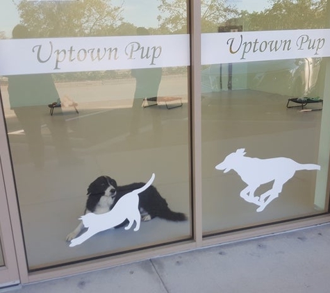 Uptown Pup Inc. - Fort Myers, FL