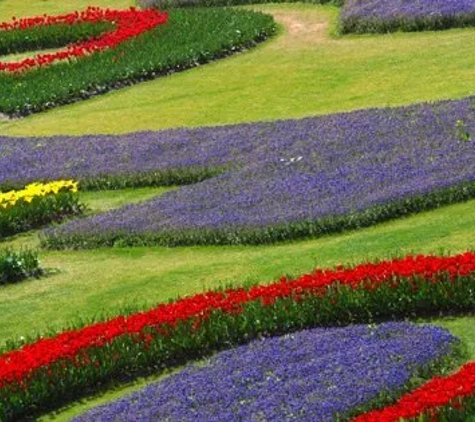 Wayne's Garden & Lawn Mowing Maintenance - Mermaid Waters, QLD