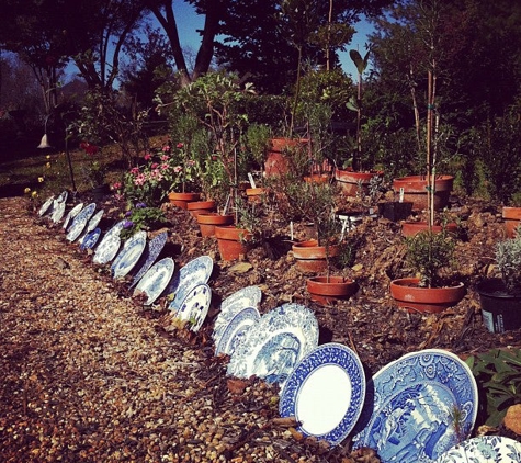 Blooming Hill Lavender Farm - Purcellville, VA