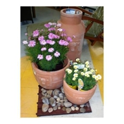 Gallery Image Number 3