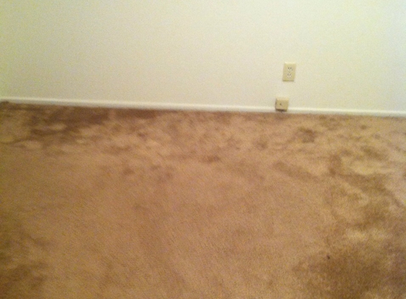 Carpet Cleaners Houston - houston, TX