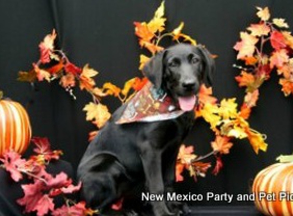 New Mexico Party and Pet Pics - Albuquerque, NM