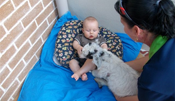Little Kookas Kingsthorpe Childcare - Kingsthorpe, QLD