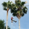 Texans Tree Service gallery