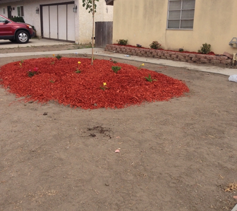 Benny's Gardening Service - Thousand Oaks, CA