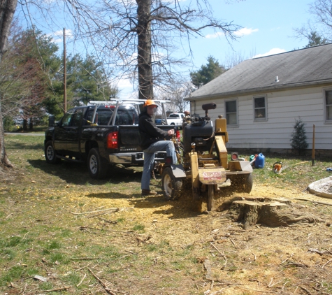 Black's Tree And Landscape - Quakertown, PA