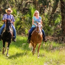 Wagon Wheel Horse Farm - Horse Stables