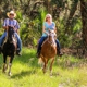 Wagon Wheel Horse Farm