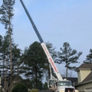 R & R Tree Service Inc - Tree Service