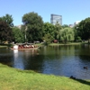 Boston Common gallery